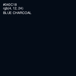#040C18 - Blue Charcoal Color Image